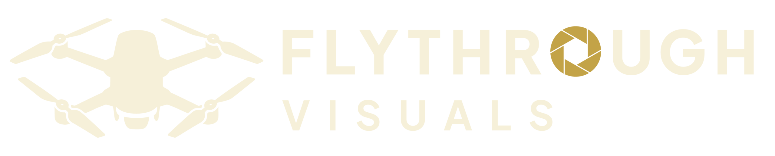 Flythrough Visuals Logo